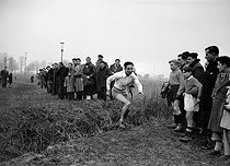 Roger-Viollet | 981640 | Alain Mimoun (1921-2013), French athlete, winner of the International Cross Country Championships in Paris, January 25, 1953. | © Roger-Viollet / Roger-Viollet