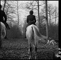 Roger-Viollet | 998919 | Hunting with hounds in Normandie, 1950. Photograph by André Zucca (1897-1973). Bibliothèque historique de la Ville de Paris. | © André Zucca / BHVP / Roger-Viollet