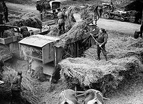Roger-Viollet | 1004261 | Guerre 1939-1945. Soldats français aidant des paysans aux travaux des champs (battage du blé). France. 1939. | © Roger-Viollet / Roger-Viollet