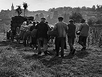 Roger-Viollet | 1010596 | Grape-pickers going back. Rully (Saône-et-Loire). Photograph by Janine Niepce (1921-2007). | © Janine Niepce / Roger-Viollet