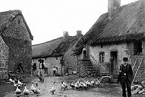 Roger-Viollet | 1019343 | Gooses in a farmyard. France, circa 1900-1910. | © Neurdein / Roger-Viollet