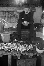 Roger-Viollet | 1022031 | Sardine seller at the Kasbah. Algiers (Algeria), 1967. Photograph by Jean Marquis (1926-2019). | © Jean Marquis / Roger-Viollet