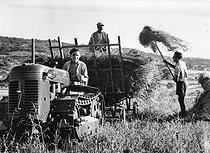 Roger-Viollet | 1033247 | Récolte du blé, chargement des gerbes sur un char remorqué par un tracteur à chenille. Vaucluse, 1949. | © Jacques Boyer / Roger-Viollet