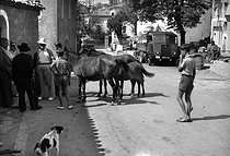 Roger-Viollet | 1043037 | Return of fair to Evisa (Corsica). On 1939. HUR-7279 | © Charles Hurault / Roger-Viollet