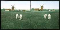 Europe : North Europe